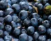 Dehydrated Blueberries